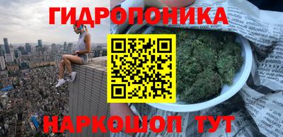трава Тара