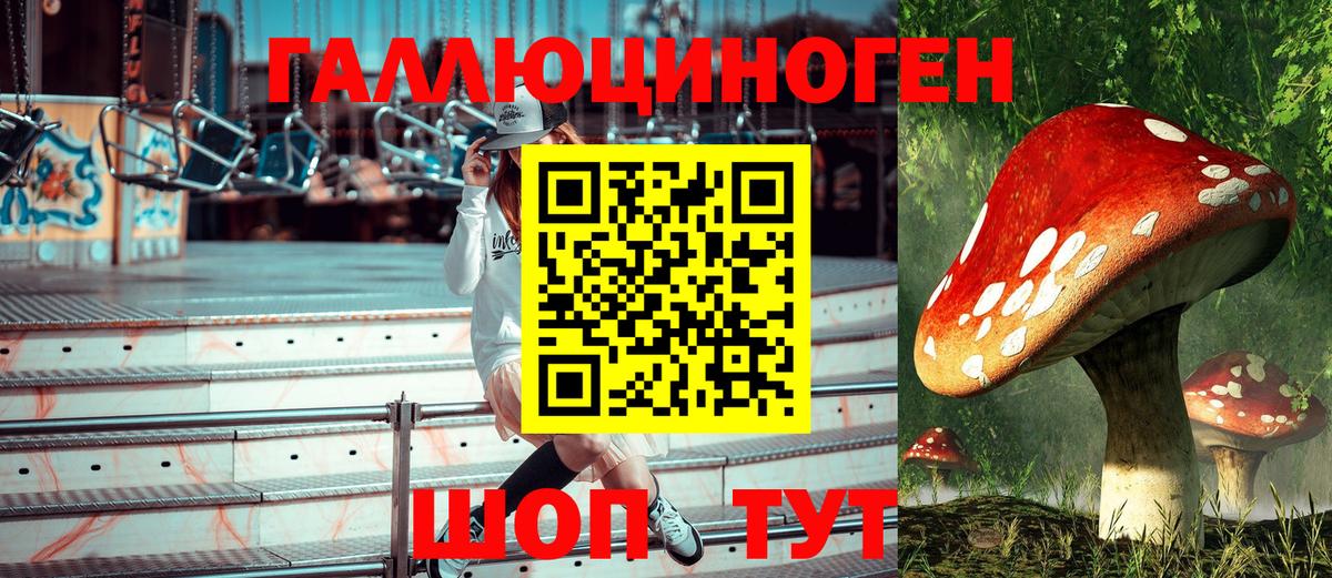 Раменское  Галлюциногенные грибы прущие грибы  Вход с VPN  Галлюциногенные грибы MAGIC MUSHROOMS 